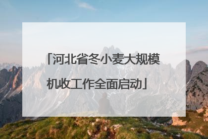 河北省冬小麦大规模机收工作全面启动