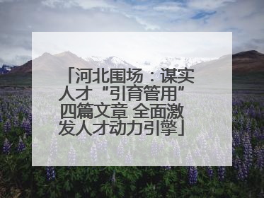 河北围场：谋实人才“引育管用”四篇文章 全面激发人才动力引擎