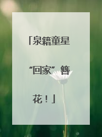 泉籍童星“回家”簪花！