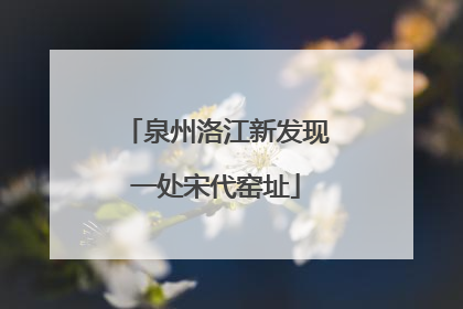 泉州洛江新发现一处宋代窑址