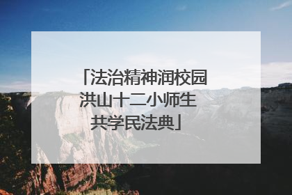 法治精神润校园 洪山十二小师生共学民法典