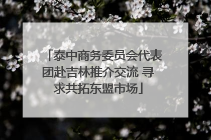 泰中商务委员会代表团赴吉林推介交流 寻求共拓东盟市场