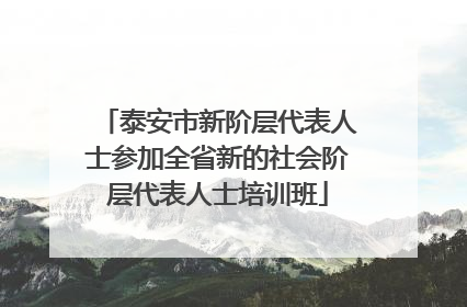 泰安市新阶层代表人士参加全省新的社会阶层代表人士培训班