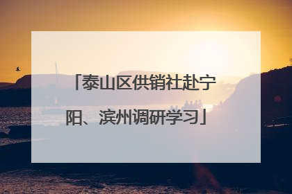 泰山区供销社赴宁阳、滨州调研学习