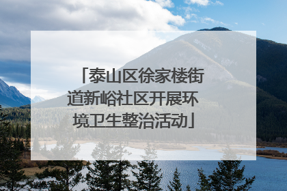 泰山区徐家楼街道新峪社区开展环境卫生整治活动