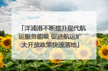 洋浦港不断提升现代航运服务能级 促进航运扩大开放政策快速落地