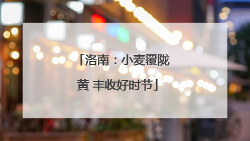 洛南：小麦覆陇黄 丰收好时节