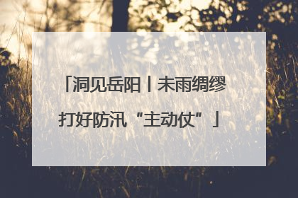 洞见岳阳丨未雨绸缪 打好防汛“主动仗”