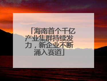 海南首个千亿产业集群持续发力，新企业不断涌入赛道