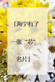 海宁有了一张“芯”名片