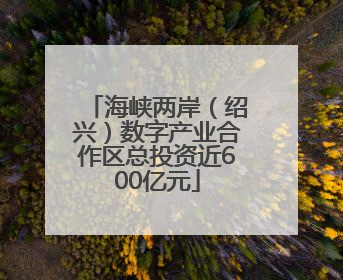 海峡两岸（绍兴）数字产业合作区总投资近600亿元