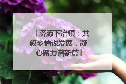 济源下冶镇：共叙乡情谋发展，凝心聚力谱新篇
