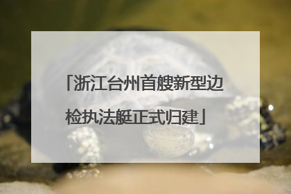 浙江台州首艘新型边检执法艇正式归建