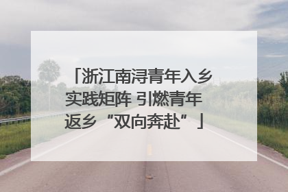 浙江南浔青年入乡实践矩阵 引燃青年返乡“双向奔赴”