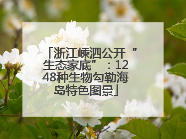 浙江嵊泗公开“生态家底”：1248种生物勾勒海岛特色图景