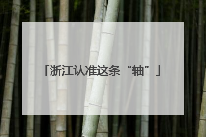 浙江认准这条“轴”