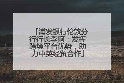 浦发银行伦敦分行行长李舸：发挥跨境平台优势，助力中英经贸合作