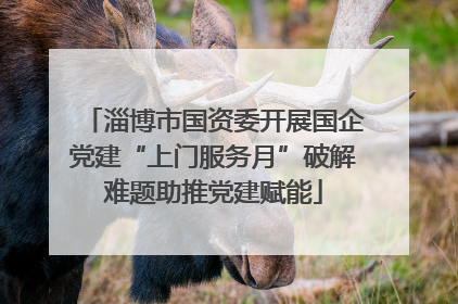 淄博市国资委开展国企党建“上门服务月”破解难题助推党建赋能