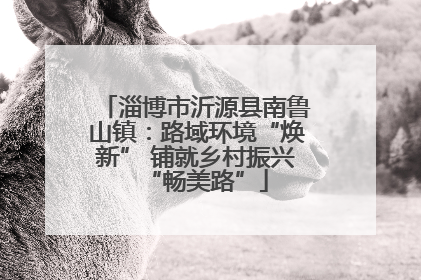 淄博市沂源县南鲁山镇：路域环境“焕新” 铺就乡村振兴“畅美路”