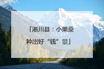 淅川县：小果桑种出好“钱”景