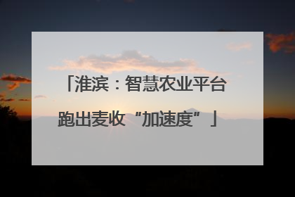 淮滨：智慧农业平台跑出麦收“加速度”