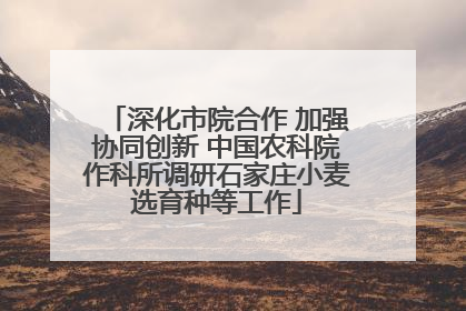 深化市院合作 加强协同创新 中国农科院作科所调研石家庄小麦选育种等工作