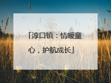 淳口镇：情暖童心，护航成长