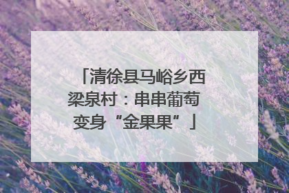 清徐县马峪乡西梁泉村：串串葡萄变身“金果果”