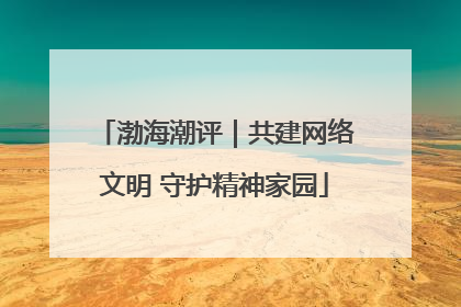 渤海潮评｜共建网络文明 守护精神家园