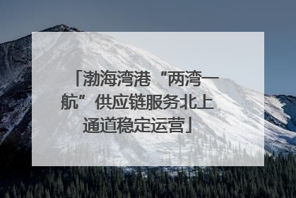 渤海湾港“两湾一航”供应链服务北上通道稳定运营
