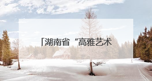 湖南省“高雅艺术进校园”交响乐专场活动走进怀化学院