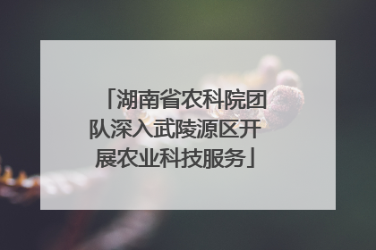 湖南省农科院团队深入武陵源区开展农业科技服务