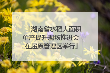 湖南省水稻大面积单产提升现场推进会在屈原管理区举行
