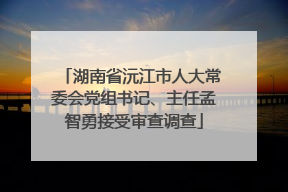 湖南省沅江市人大常委会党组书记、主任孟智勇接受审查调查