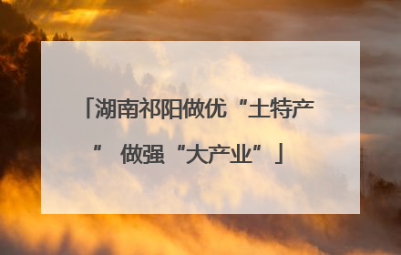 湖南祁阳做优“土特产” 做强“大产业”