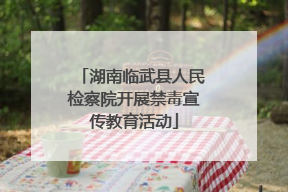 湖南临武县人民检察院开展禁毒宣传教育活动