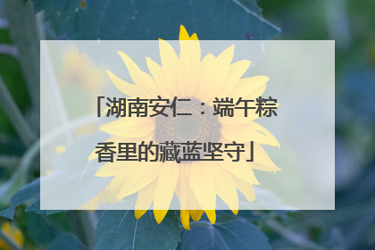 湖南安仁：端午粽香里的藏蓝坚守