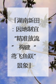 湖南新田：因地制宜“精准放流” 构建“鸢飞鱼跃”景象