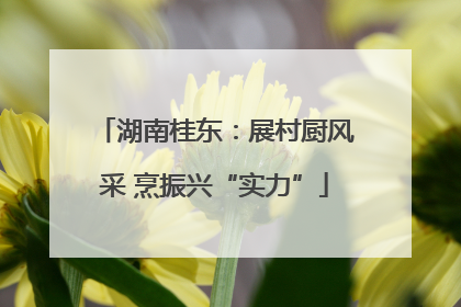 湖南桂东：展村厨风采 烹振兴“实力”