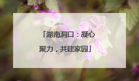 湖南洞口：凝心聚力，共建家园
