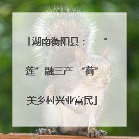 湖南衡阳县：一“莲”融三产 “荷”美乡村兴业富民