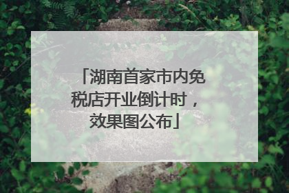 湖南首家市内免税店开业倒计时，效果图公布