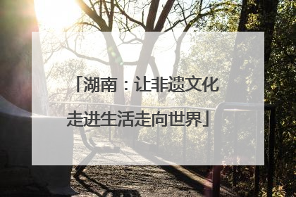 湖南：让非遗文化走进生活走向世界
