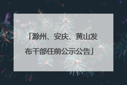 滁州、安庆、黄山发布干部任前公示公告
