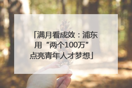 满月看成效：浦东用“两个100万”点亮青年人才梦想