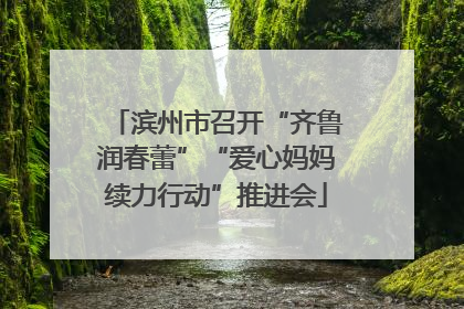 滨州市召开“齐鲁润春蕾”“爱心妈妈续力行动”推进会