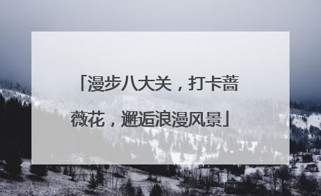 漫步八大关，打卡蔷薇花，邂逅浪漫风景