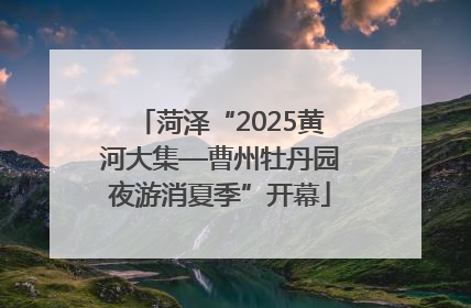 菏泽“2025黄河大集—曹州牡丹园夜游消夏季”开幕