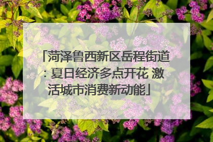 菏泽鲁西新区岳程街道：夏日经济多点开花 激活城市消费新动能