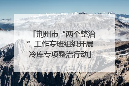 荆州市“两个整治”工作专班组织开展冷库专项整治行动